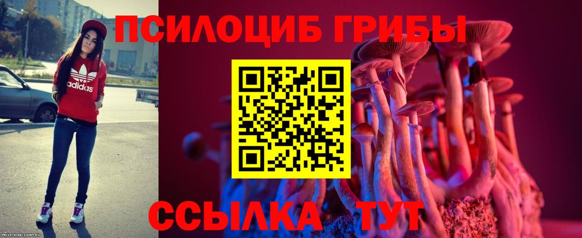 Ступино  Псилоцибиновые грибы Cubensis  Вход с VPN  Псилоцибиновые грибы Magic Shrooms 